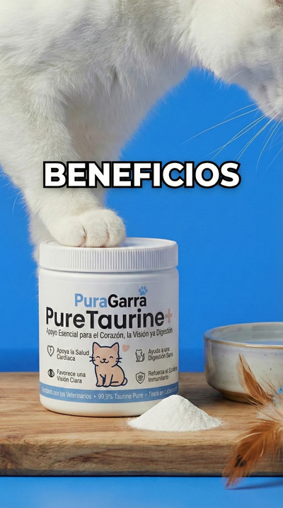 Beneficios