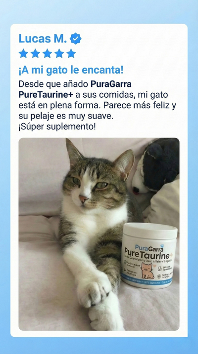 Opiniones de clientes